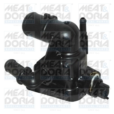 Thermostat, coolant